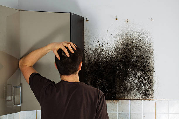 Best Mold Testing  in Duncanville, TX